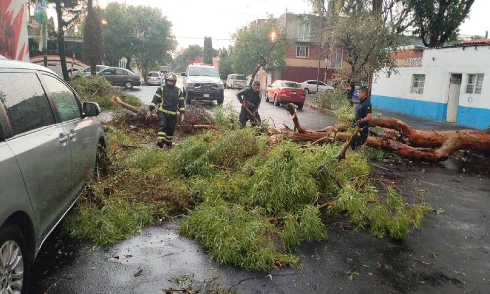 Lluvias Provocan Inundaciones Y Arboles Caídos En Cdmx 9073